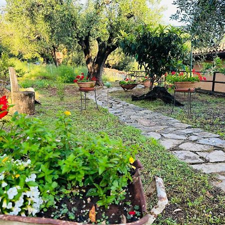 Le Casette di Nino Marina di Camerota Esterno foto