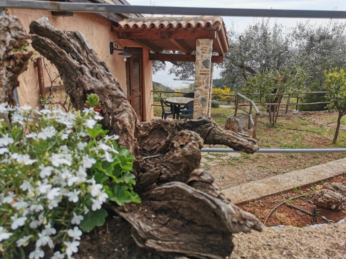 Le Casette di Nino Marina di Camerota Esterno foto