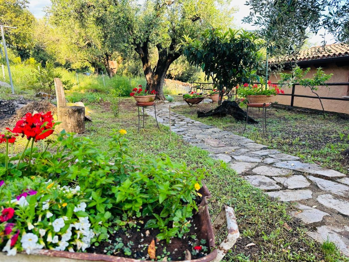 Le Casette di Nino Marina di Camerota Esterno foto
