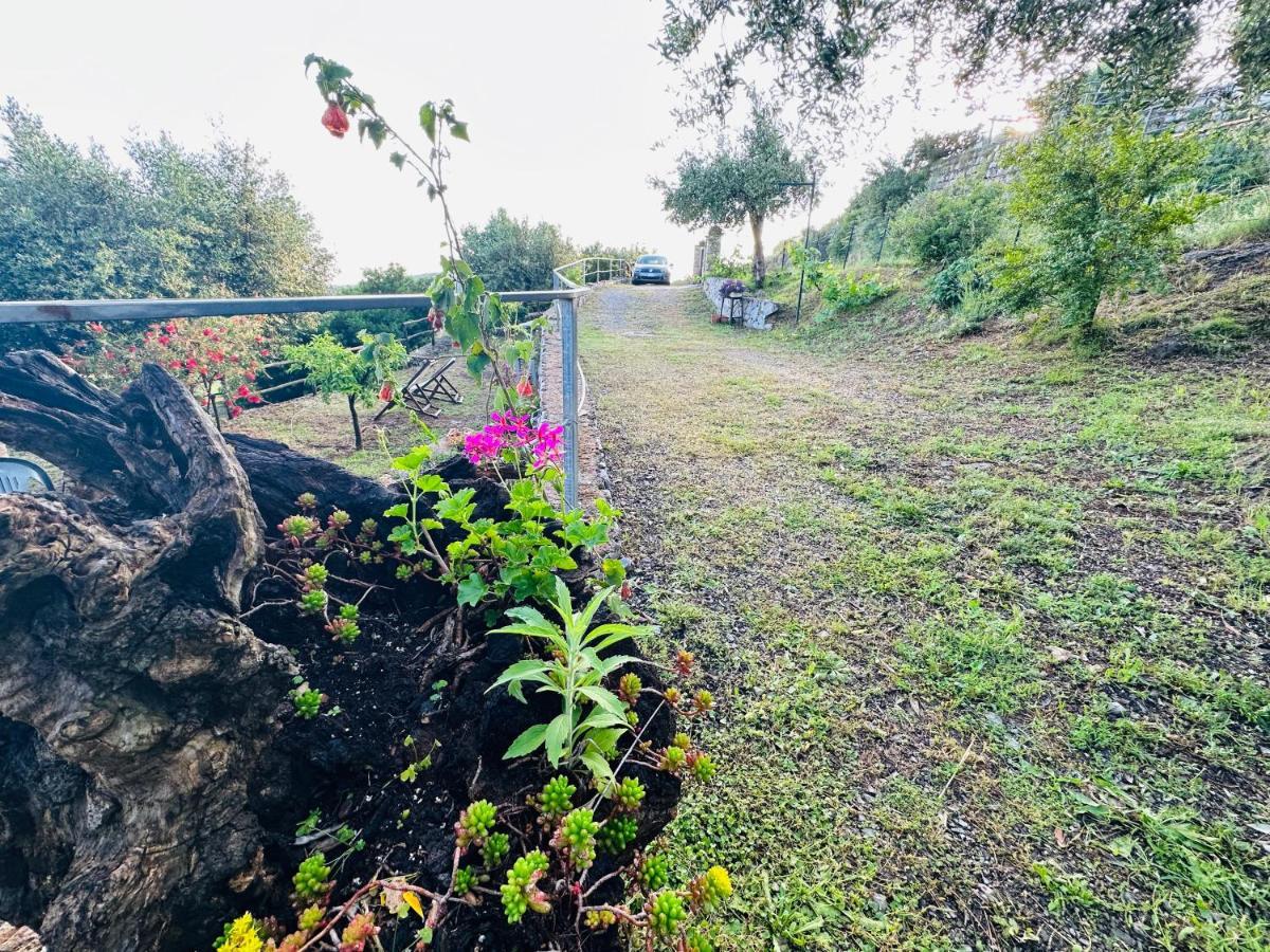 Le Casette di Nino Marina di Camerota Esterno foto